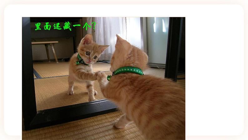 第5节   光的反射和折射（第二课时）第3页