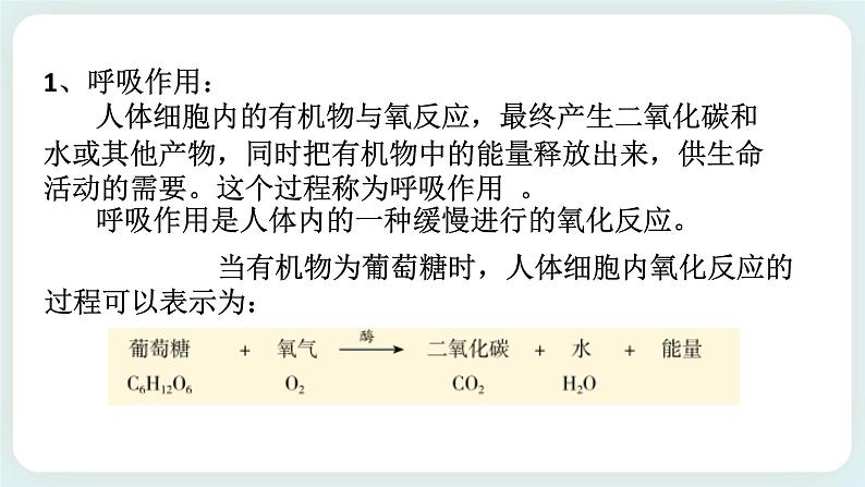 八下科学3.5生物的呼吸和呼吸作用 第2课时 课件+练习+视频05