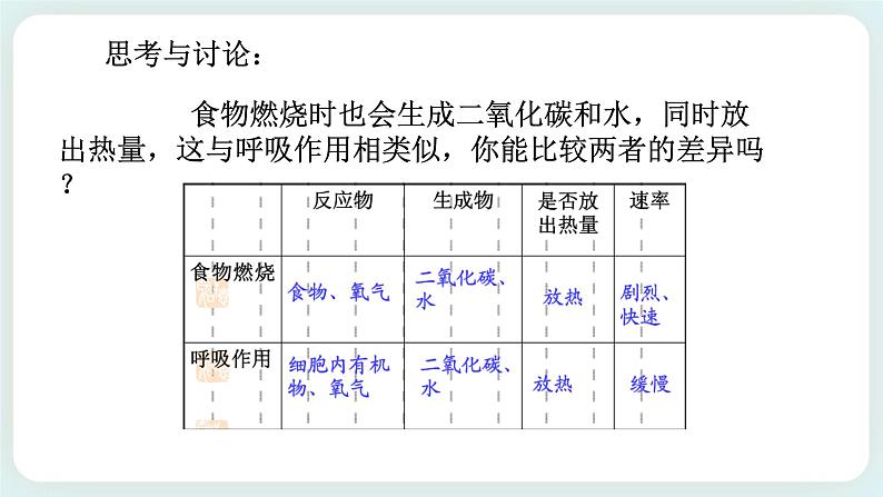 八下科学3.5生物的呼吸和呼吸作用 第2课时 课件+练习+视频06