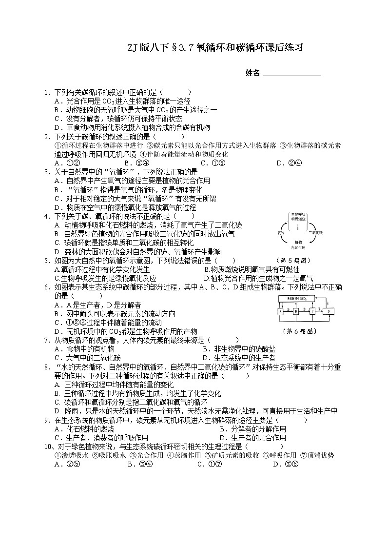 ZJ版八下3.7自然界中的碳循环和氧循环第1页