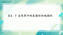 初中科学浙教版八年级下册第3章 空气与生命第7节 自然界中的氧循环和碳循环优质课件ppt