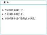 八下科学3.7自然界中的氧循环和碳循环 课件+练习+视频