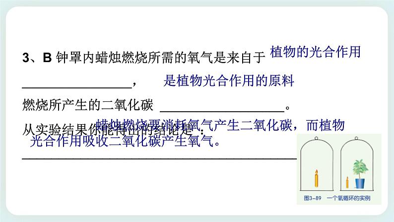 ZJ版八下3.7自然界的氧循环和碳循环第5页