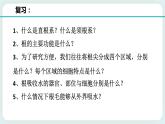 八下科学 4.3植物的根与物质吸收 第2课时 课件+练习+视频