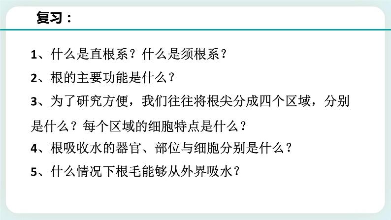 ZJ版八下4.3植物的根与物质吸收（2）第2页