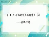 八下科学4.5植物的叶与蒸腾作用 第2课时 课件+练习+视频