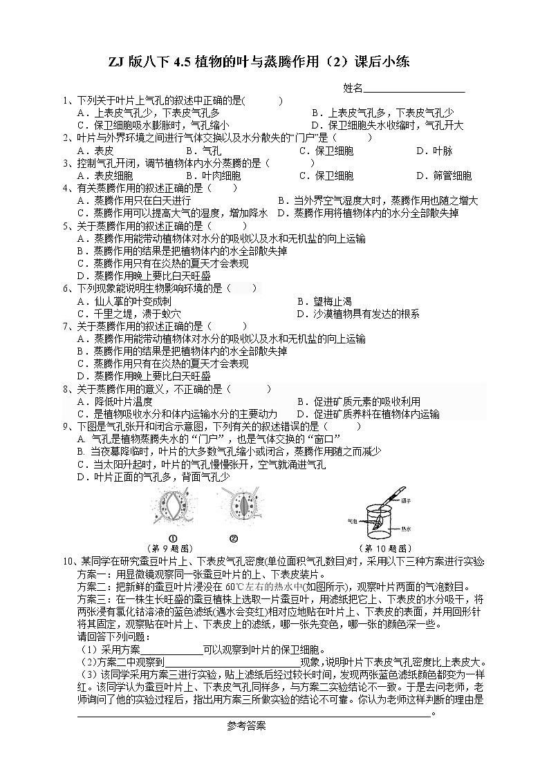 八下科学4.5植物的叶与蒸腾作用 第2课时 课件+练习+视频01