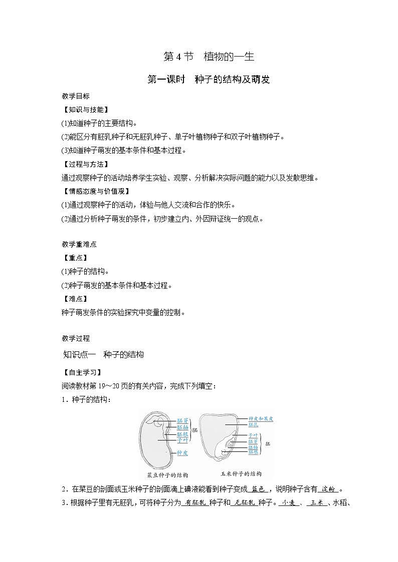 1.4 植物的一生 学案（2课时，含答案）01