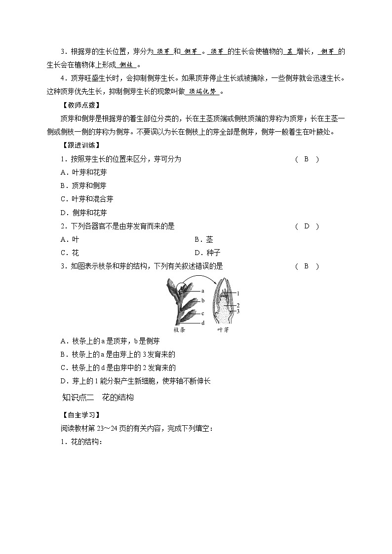 1.4 植物的一生 学案（2课时，含答案）02