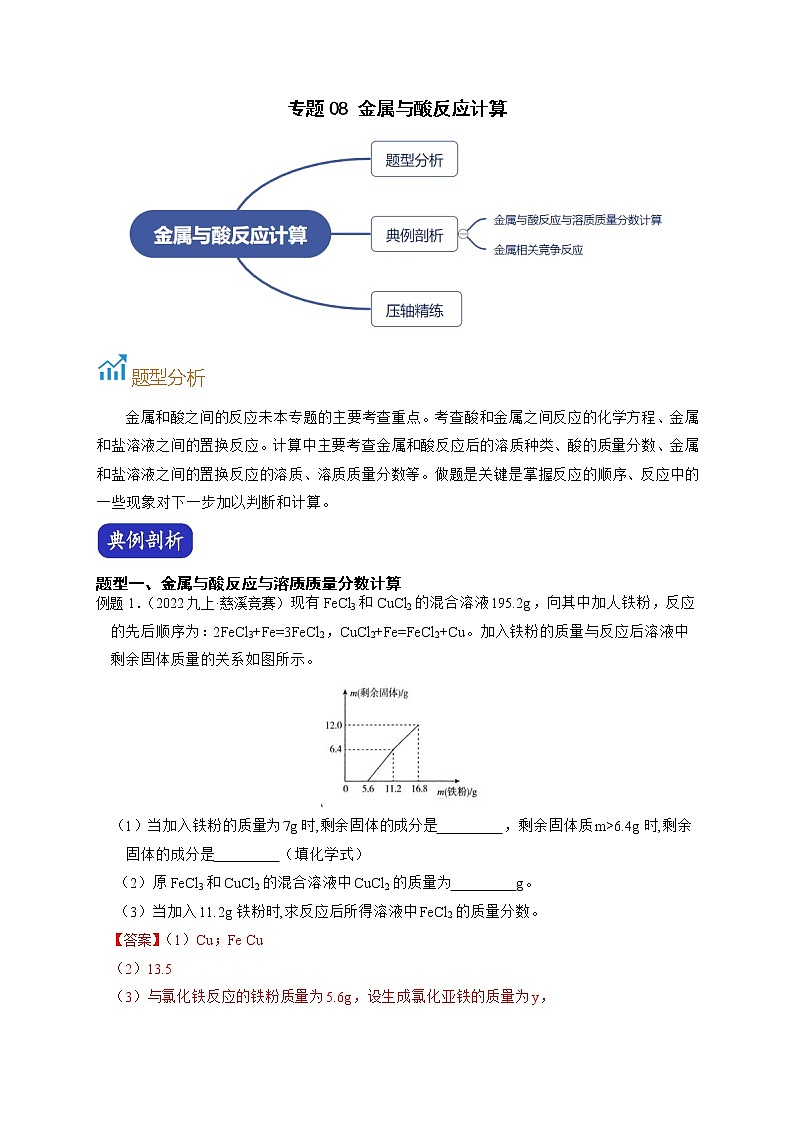 专题08 金属与酸反应计算-【赢在中考】中考科学二轮复习压轴题（浙江专用）01