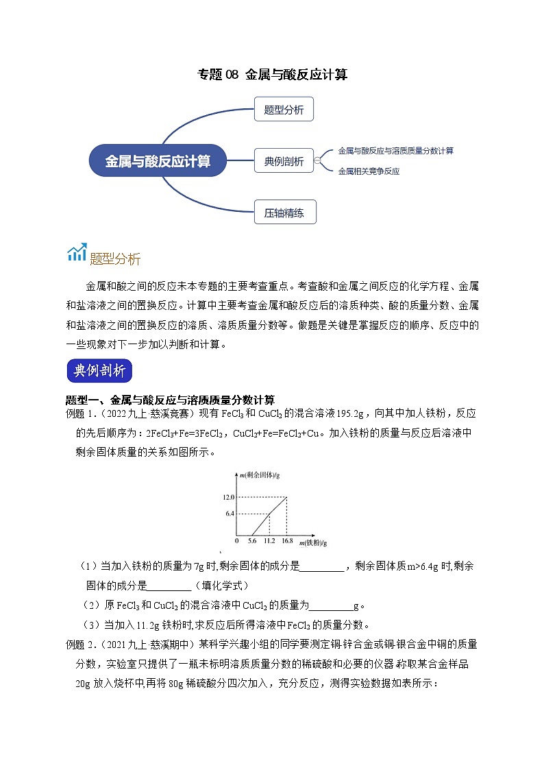 专题08 金属与酸反应计算-【赢在中考】中考科学二轮复习压轴题（浙江专用）01