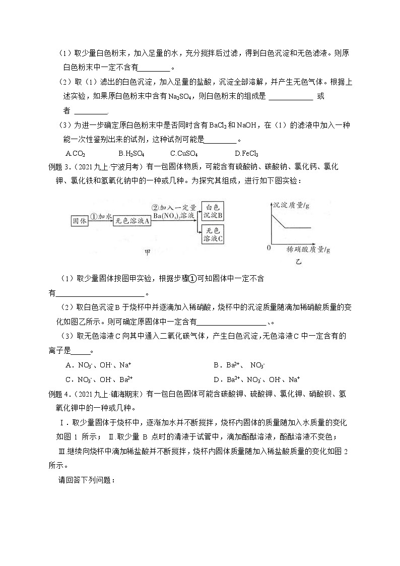 专题06 物质转化相关探究-【赢在中考】中考科学二轮复习压轴题（浙江专用）02