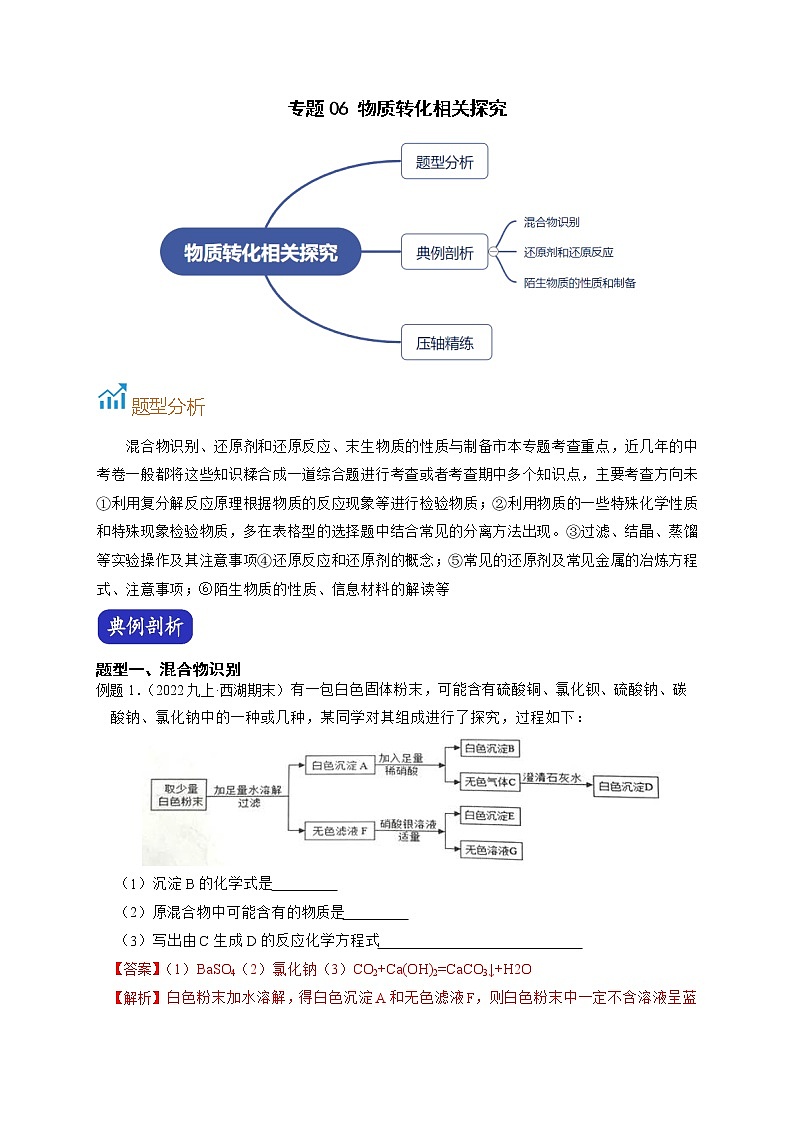 专题06 物质转化相关探究-【赢在中考】中考科学二轮复习压轴题（浙江专用）01