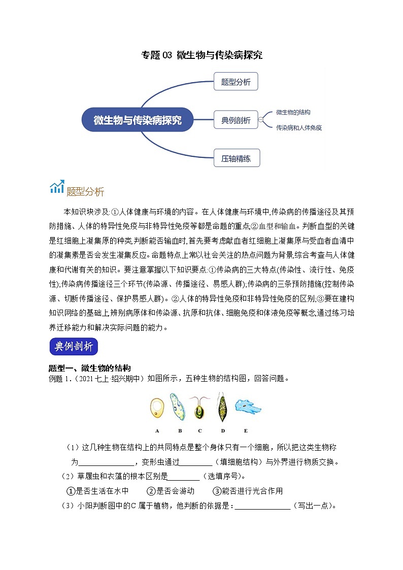 专题03 微生物与传染病探究-【赢在中考】中考科学二轮复习压轴题（浙江专用）01