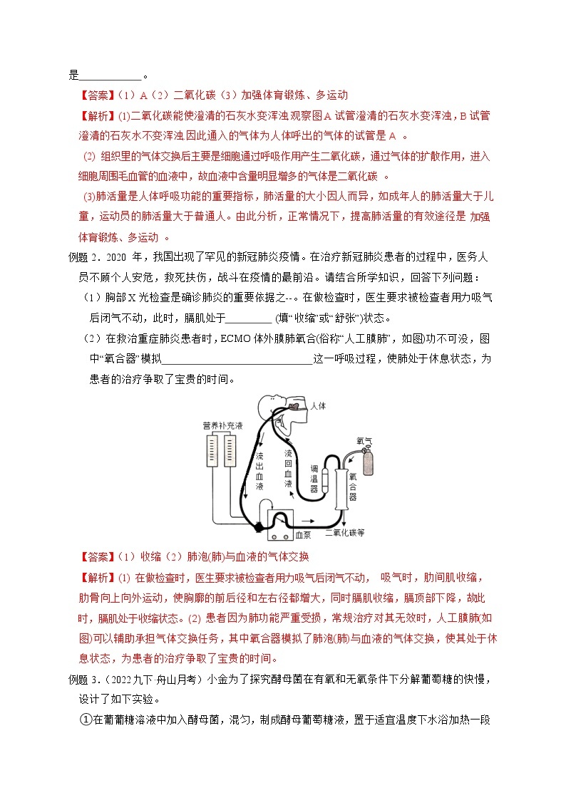 专题02 动物的新陈代谢探究-【赢在中考】中考科学二轮复习压轴题（浙江专用）02