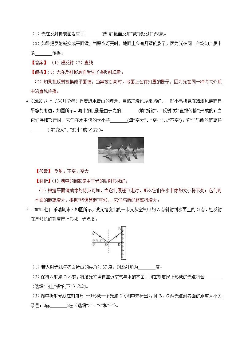 06 平面镜与光的反射（解析版）第2页