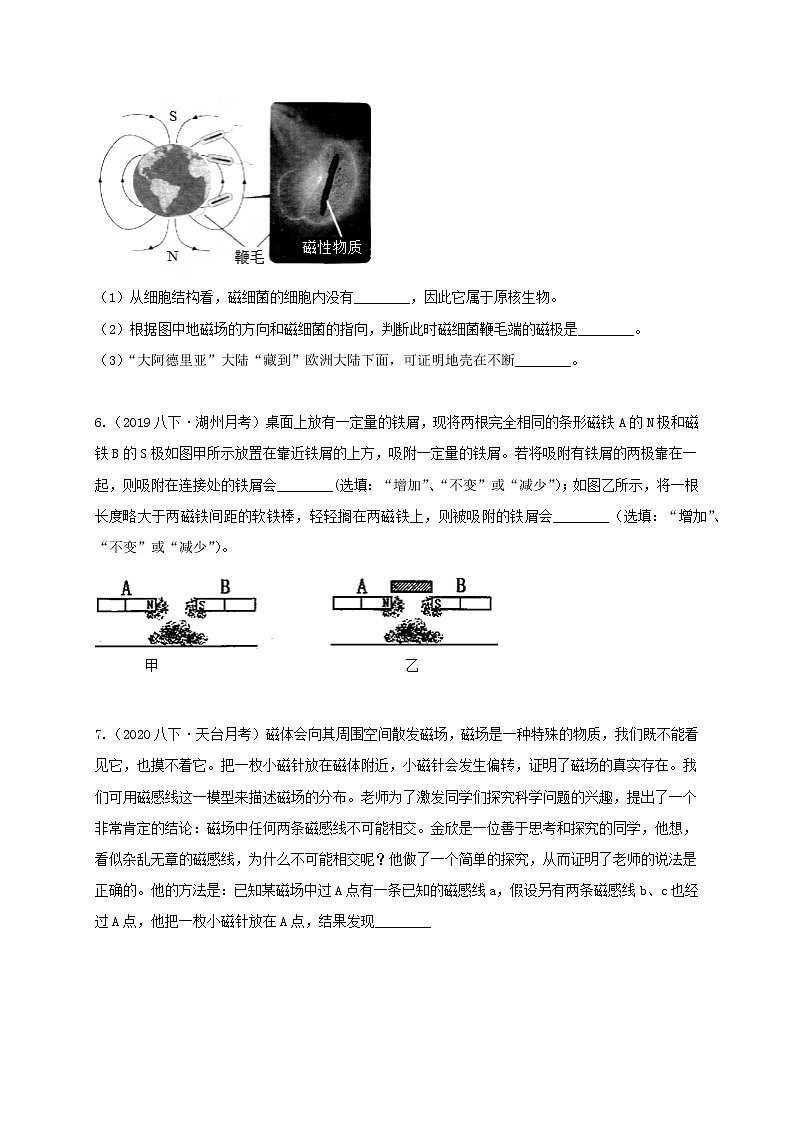 1.1 指南针为什么能指方向  分类集训—最新浙教版八年级科学下册尖子生培优（原卷+解析）03
