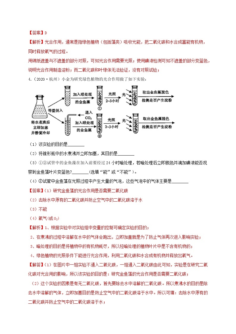 3.6 光合作用  分类集训—浙教版八年级科学下册尖子生培优（原卷+解析）03