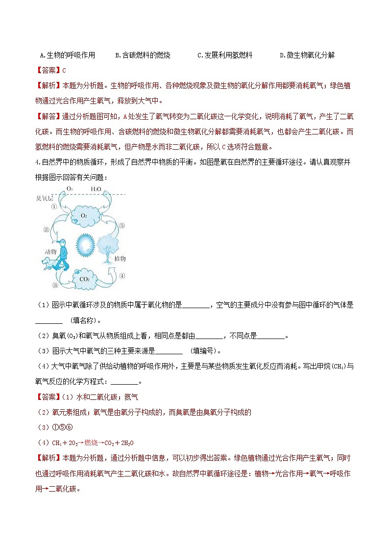 3.7自然界中的氧循环和碳循环 分类集训—浙教版八年级科学下册尖子生培优（原卷+解析）02