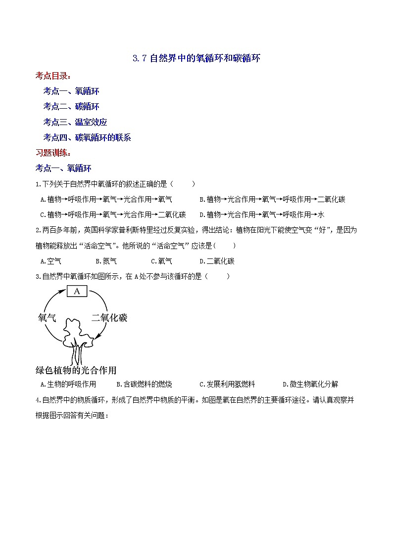 3.7自然界中的氧循环和碳循环 分类集训—浙教版八年级科学下册尖子生培优（原卷+解析）01