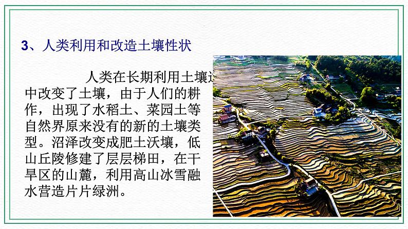 七下4.3人类活动与土壤（课件+视频+练习）04