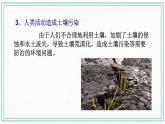 七下4.3人类活动与土壤（课件+视频+练习）