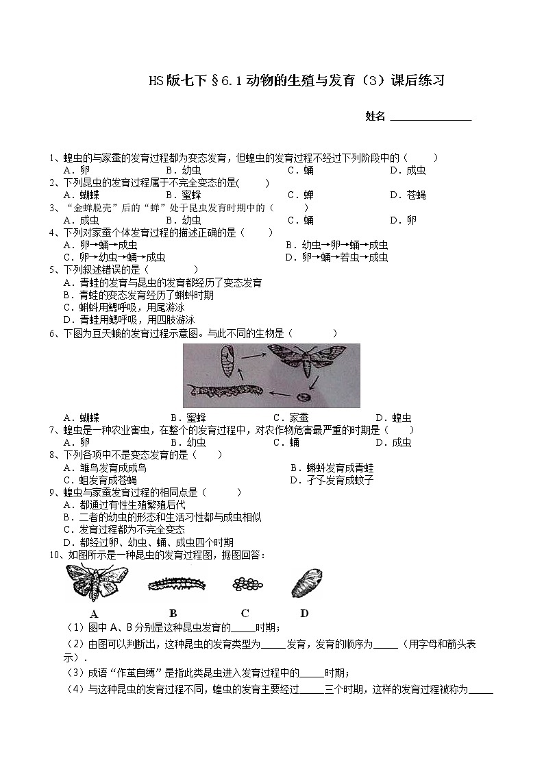 七下6.1 动物的生殖与发育 第3课时（课件 +视频+练习）01