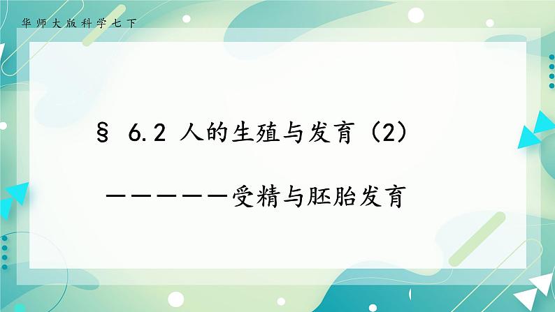 七下科学6.2 人的生殖与发育 第2课时（课件+视频+练习）01