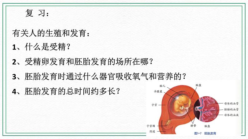 七下科学6.2 人的生殖与发育 第3课时 （课件+视频+练习）02