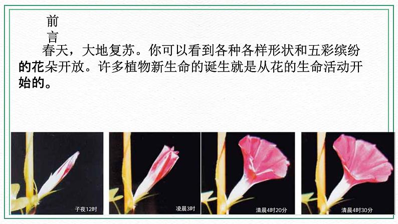 七下科学7.1绿色开花植物的有性生殖和发育 第1课时（课件+视频+练习）02