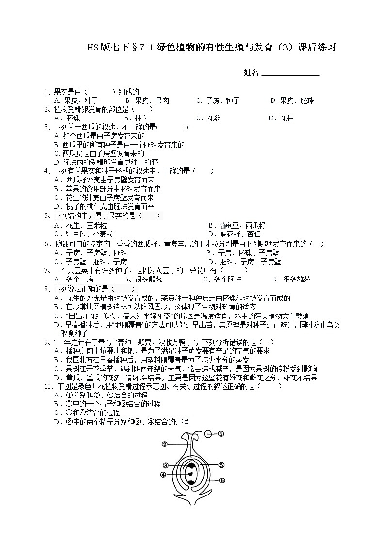 七下科学7.1绿色开花植物的有性生殖和发育 第3课时（课件 +视频+练习）01