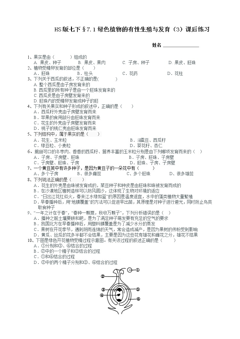 七下科学7.1绿色开花植物的有性生殖和发育 第3课时（课件 +视频+练习）01