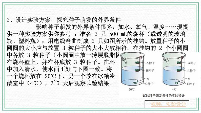 七下科学7.2种子的萌发和幼苗形成 第2课时 （课件+视频+练习）05