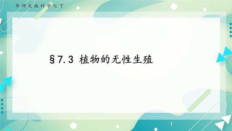 七下科学7.3植物的无性生殖（课件+视频+练习）01