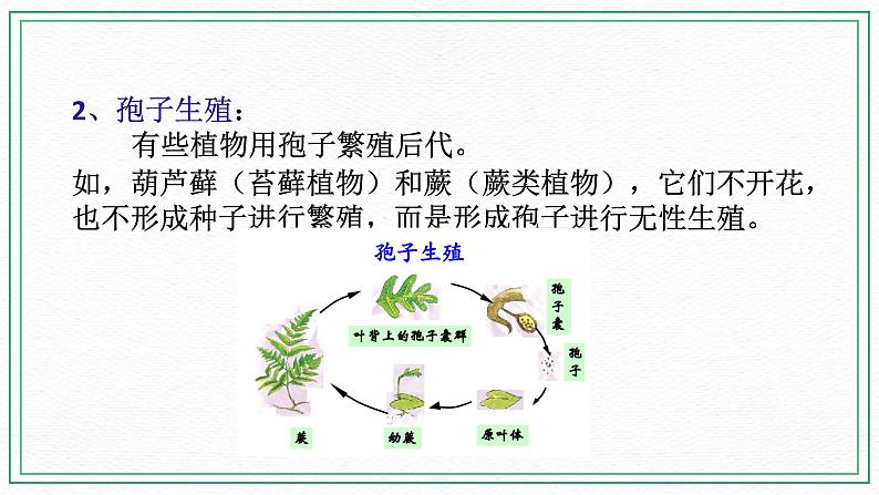 七下科学7.3植物的无性生殖（课件+视频+练习）05