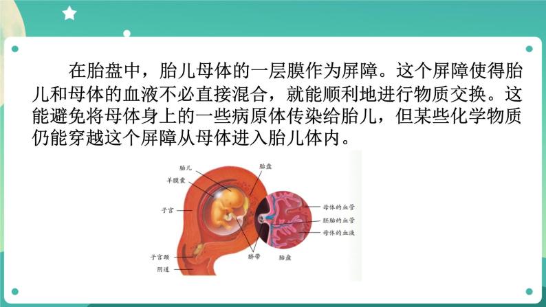 1.1新生命的诞生 第2课时 课件+教案+学案05