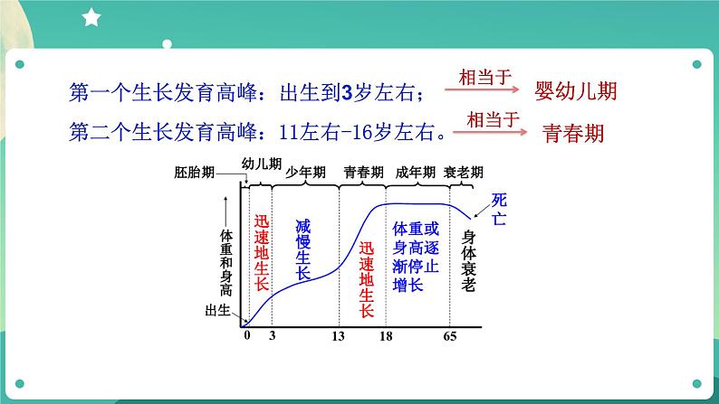1.2走向成熟 第1课时 课件+教案+学案05