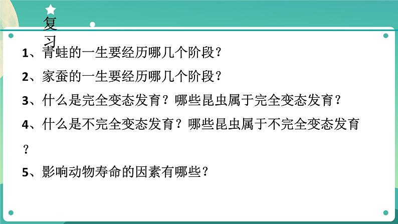 1.3动物的生长时期第2课时  课件+教案+学案02