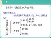 1.3动物的生长时期第2课时  课件+教案+学案