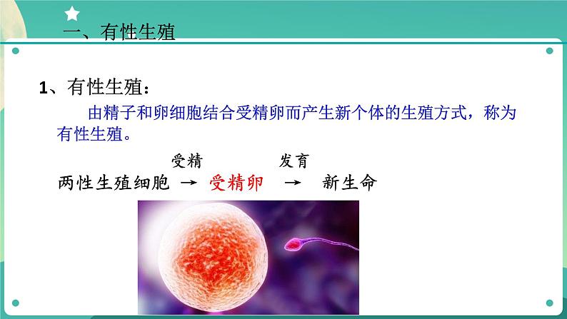 1.3动物的生长时期第2课时  课件+教案+学案05