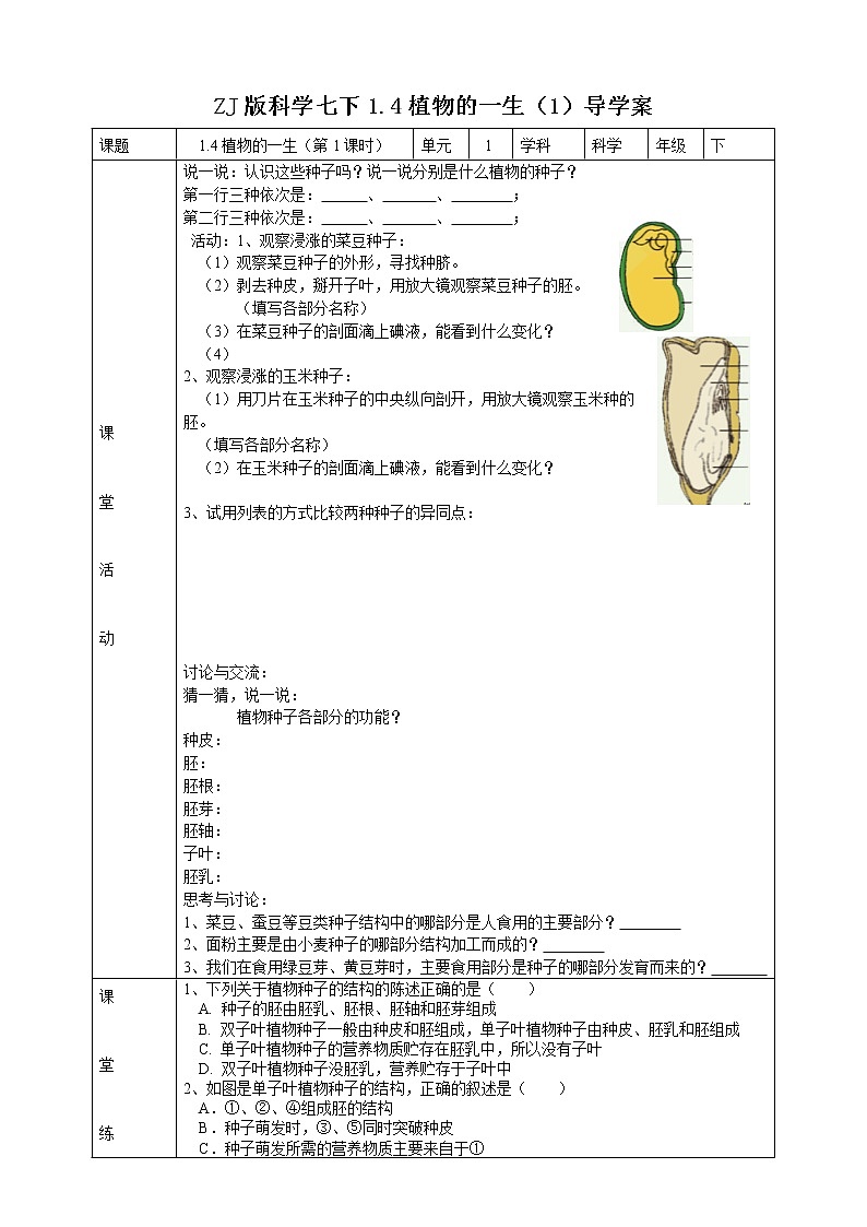 ZJ版科学七下1.4植物的一生（1） 导学案第1页