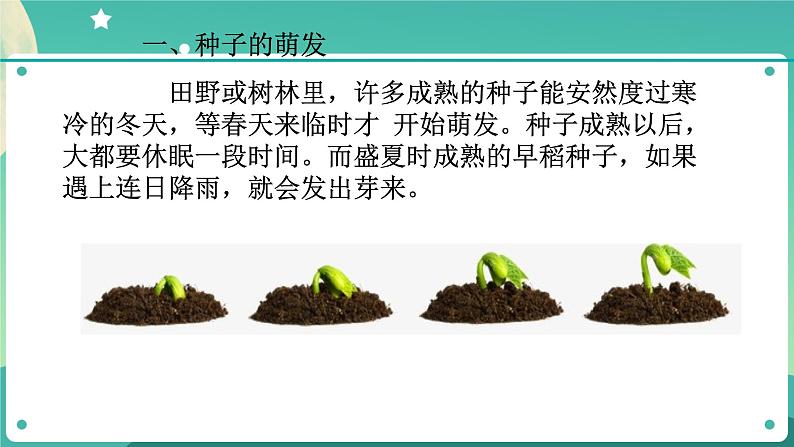 1.4植物的一生 第2课时  课件+教案+学案03