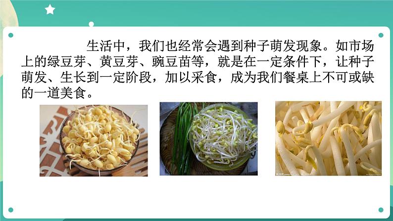 1.4植物的一生 第2课时  课件+教案+学案04