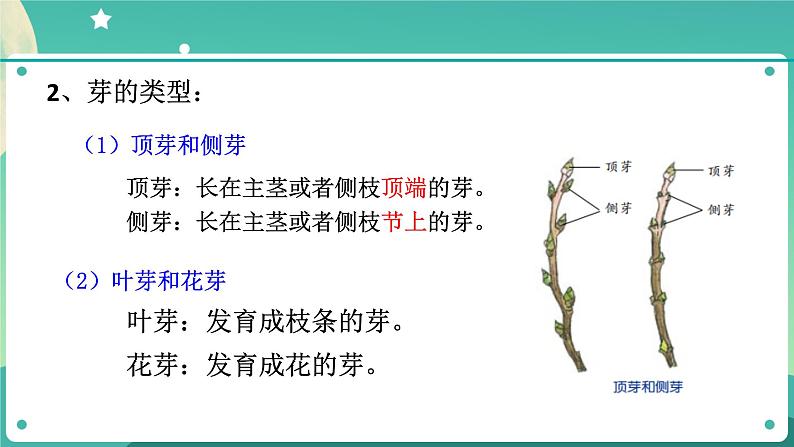 1.4植物的一生 第3课时  课件+教案+学案04