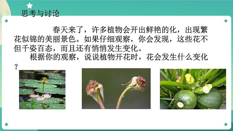 1.5植物生殖方式的多样性第1课时 课件+教案+学案05