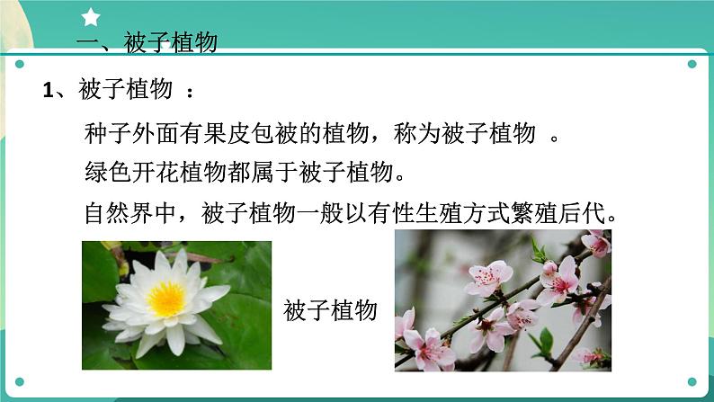 1.5植物生殖方式的多样性第1课时 课件+教案+学案06