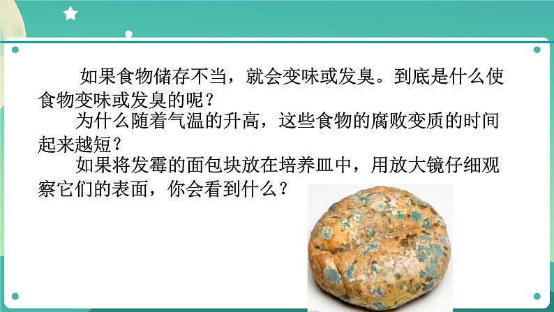 1.6细菌和真菌的繁殖 第1课时 课件+教案+学案02