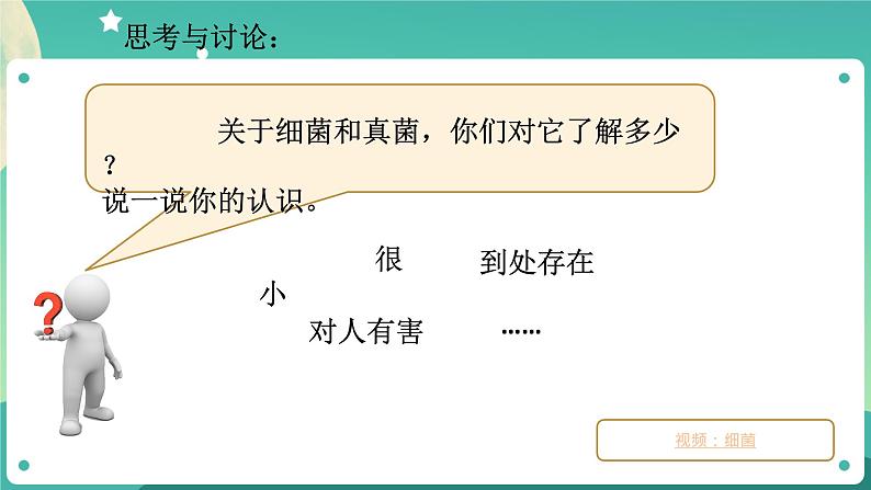 1.6细菌和真菌的繁殖 第1课时 课件+教案+学案03