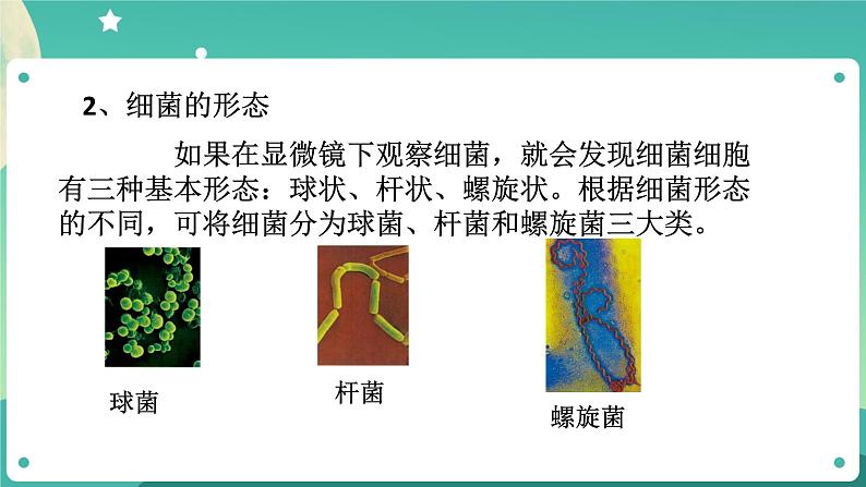 1.6细菌和真菌的繁殖 第1课时 课件+教案+学案06