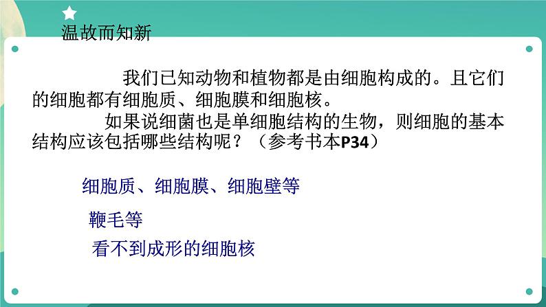 1.6细菌和真菌的繁殖 第1课时 课件+教案+学案07